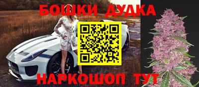 эйфоретик Обь