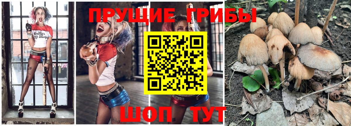 Галлюциногенные грибы ЛСД  Вход с VPN  Удомля 